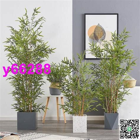 風水 假植物|【家中假樹風水】假綠植的風水講究 